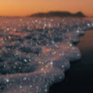 Meet your Posher, Paige